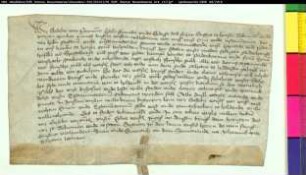 Die Äbtissin Godeke von Pyrmont zu Neuenheerse gibt ihrem Stift einen von dem Bürger Peter Kempen zu Paderborn der verstorbenen Äbtissin Haseke von Spiegelberg ausgestellten Rentenbrief über ein Gut zu Hiddessen vor Peckelsheim zur Memorie.