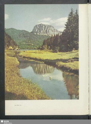 Der Rote See
