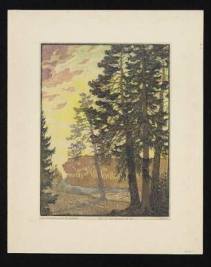 Am "A" der Dresdner Heide