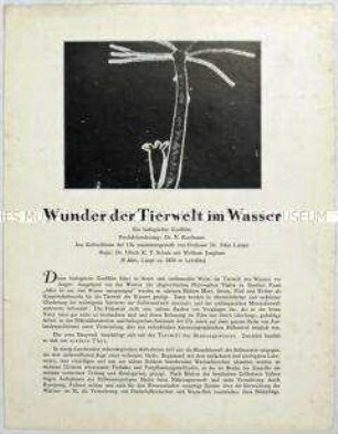 Filmprogramm zu dem deutschen Dokumentarfilm "Wunder der Tierwelt im Wasser"