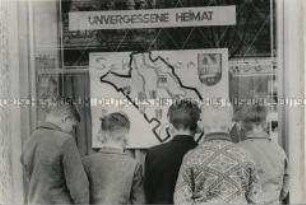 Jungen vor einem Plakat mit Umrisskarte Schlesiens