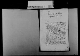 Schreiben von Joh. Färber, Schöllbrunn, an August Lamey: Denunziation von Katholiken, die gegen die Regierung polemisieren.