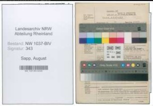 Entnazifizierung August Sapp , geb. 04.10.1894 (Angestellter)