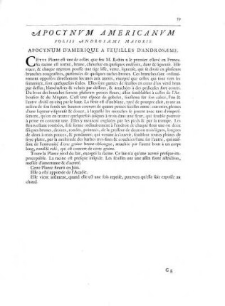 Apocynum Americanum Foliis Androsaemi Maioris