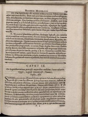 Caput IX. De Lapidibus minus pretiosis majoribus mollibus, Saxo calcario, Gypso, Lapide Bononiensi, Pumice, Topho, Asio.