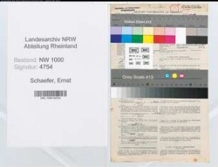 Entnazifizierung Ernst Schaefer, geb. 17.10.1888 (Ingenieur)