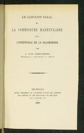 Le ganglion basal et la commissure habénulaire dans l'encéphale de la Salamandre
