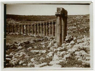 Geras [Gerasa], Säulenreihe vom sog. Forum