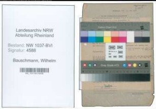 Entnazifizierung Wilhelm Bauschmann , geb. 02.02.1895 (Betriebsingenieur)