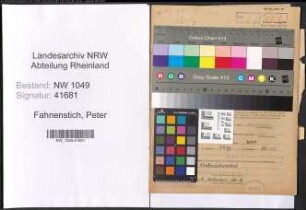 Entnazifizierung Peter Fahnenstich , geb. 21.05.1891 (Sattler)