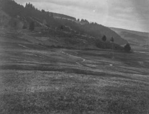 Landschaftsblick : Blick auf bewaldete Hänge und Wiesen