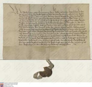 Landgraf Wilhelm [III.] von Hessen-Marburg belehnt seinen Erbmarschall und Rat Hermann [III.] Riedesel d. Ä. mit dem Dorf Ilbeshausen samt Zubehör...