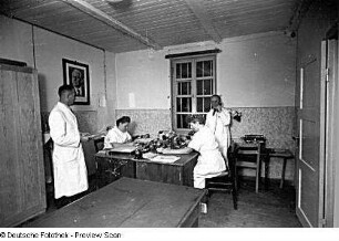 Sekretariat : Kreiskrankenhaus (um 1905). Sekretariat mit Angestellten