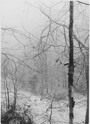 Waldlichtung (in der Gegend der Schrammsteine ?)