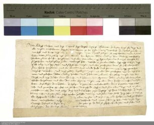 Dechant Andreas und das Kapitel von Rasdorf leihen Dille Nütling aus Mahlerts eine Wiese bei Habel