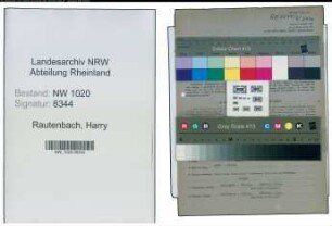 Entnazifizierung Harry Rautenbach , geb. 26.09.1900 (Fabrikant)