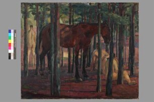 Pferd und Akte im Walde / Pferd im Kiefernwald