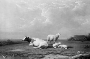 Landschaft mit Schafen und liegender Kuh