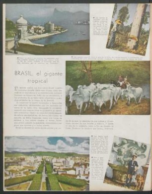 Brasil, el gigante tropical