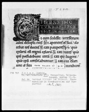 Evangeliar: Initiale V