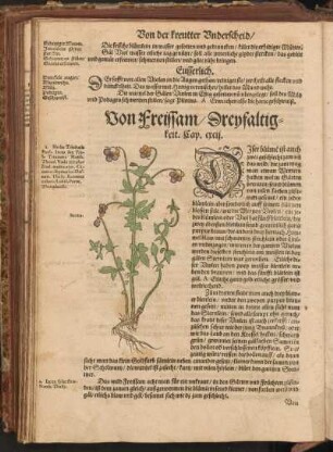 Von Freissam, Dreyfaltigkeit, Cap. CXCII