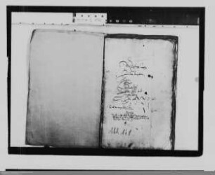 . Rügeregister der Ämter Herborn, Haiger, Dillenburg, Ewersbach und Tringenstein: Band 7