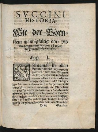 Succini Historia.