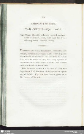 Ammonites biplex. Tab. CCXCIII. — Figs. 1 and 2