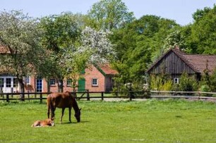 Deutschland. Niedersachen. Immer. Bauernhof Idylle