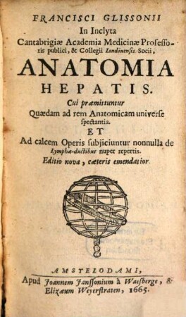Anatomia hepatis