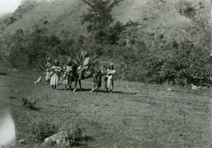 Arhuaco versammeln sich um Wege auszubessern