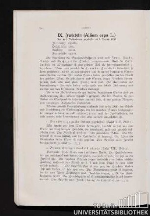 IX. Zwiebeln (Allium cepa L.)