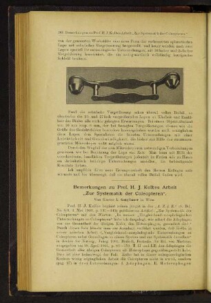 Bemerkungen zu Prof. H. J. Kolbes Arbeit „Zur Systematik der Coleopteren".