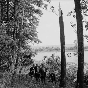 Sturmschäden: Poggensee: Begutachtung der Schäden: Förster Lichtenberg, Stadtmitarbeiter Lütjohann, Forstmitarbeiter und Arbeiter in Wald mit abgeknickten Bäumen: hinten Poggensee