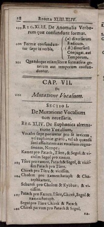 Cap. VII. De Mutatione Vocalium