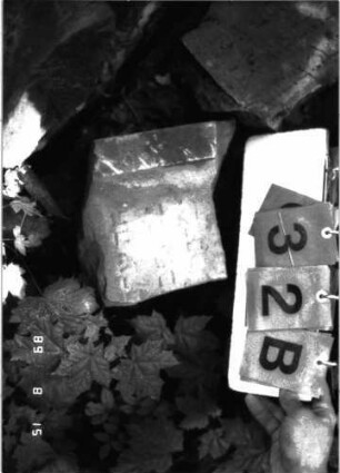 Grabstein 32 (Index: 100105607) Material: Sandstein Zustand: zerbrochene Fragmente Beschreibung: Fragmente verschiedener Stelen Besonderheit: die Fragmente stammen von verschiedenen Stelen und liegen auf einem Haufen: Grabstein 32B (Detailaufnahme)