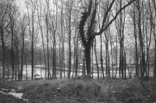 Burg Schlitz. Park. Blick zum Park mit Rheinbundkreuz