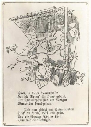 Richter, Ludwig: Die Spinne. Vignette. Holzschnitt
