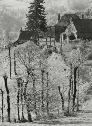 Landschaft in den Monte du Cantal