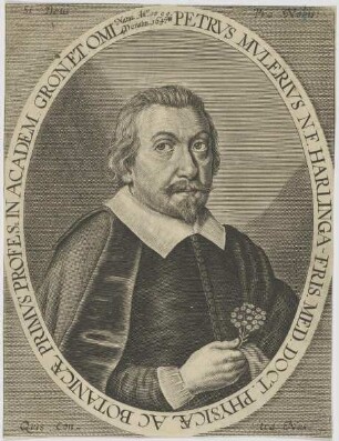 Bildnis des Petrvs Mulerivs