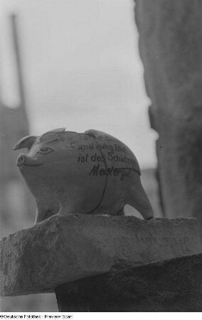 Beschädigtes Porzellanschwein