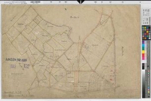 Rheine l.d.Ems (Rheine), Umlegung Hauenhorst, Urkarte II Flur 15