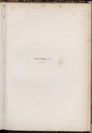 Tavola I. [bis] Tavola IX.