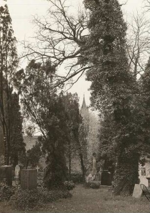 Friedhof von St. Afra : Meißen, Blick vom Friedhof von St. Afra zum Dom