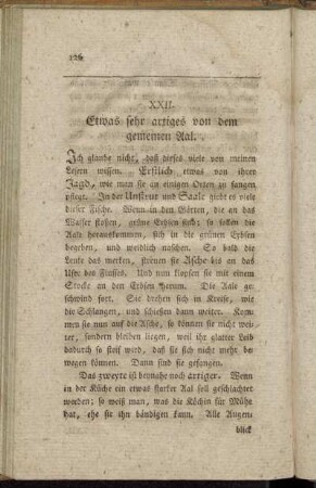 XXII. Etwas sehr artiges, von dem gemeinen Aal.