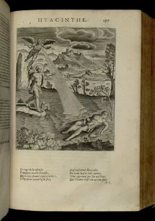 [Abbildung und Abbildungsbeschreibung] Hyacinthe
