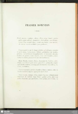 Fraisier Downton