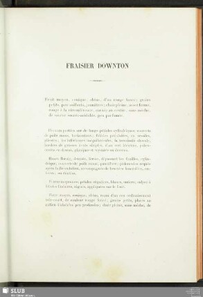 Fraisier Downton