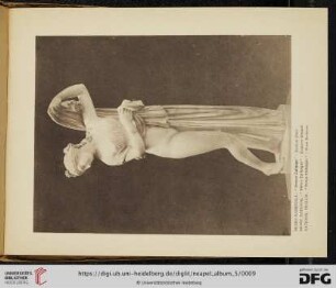 Venere Callipige