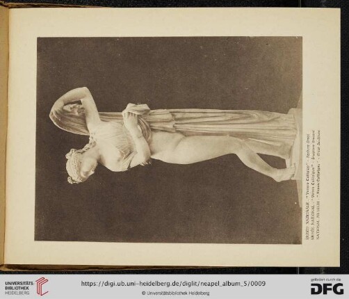 Venere Callipige
